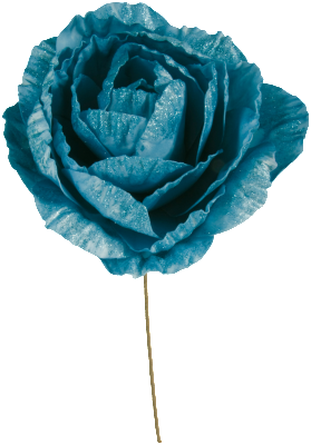 3000_8_turquoise