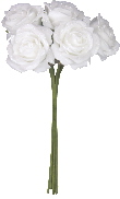 3001_1_blanc