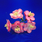 DSCN0161